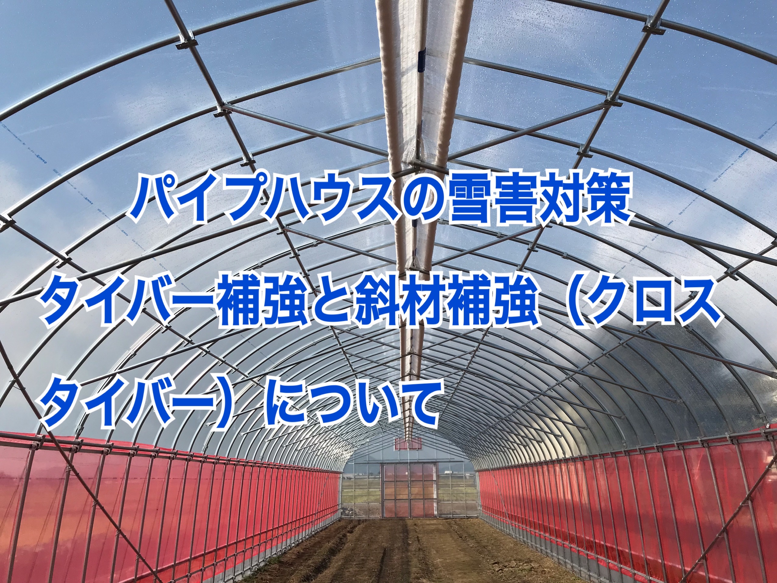 投稿 タイトル﻿ | 農業用ビニールハウスのモリシタ